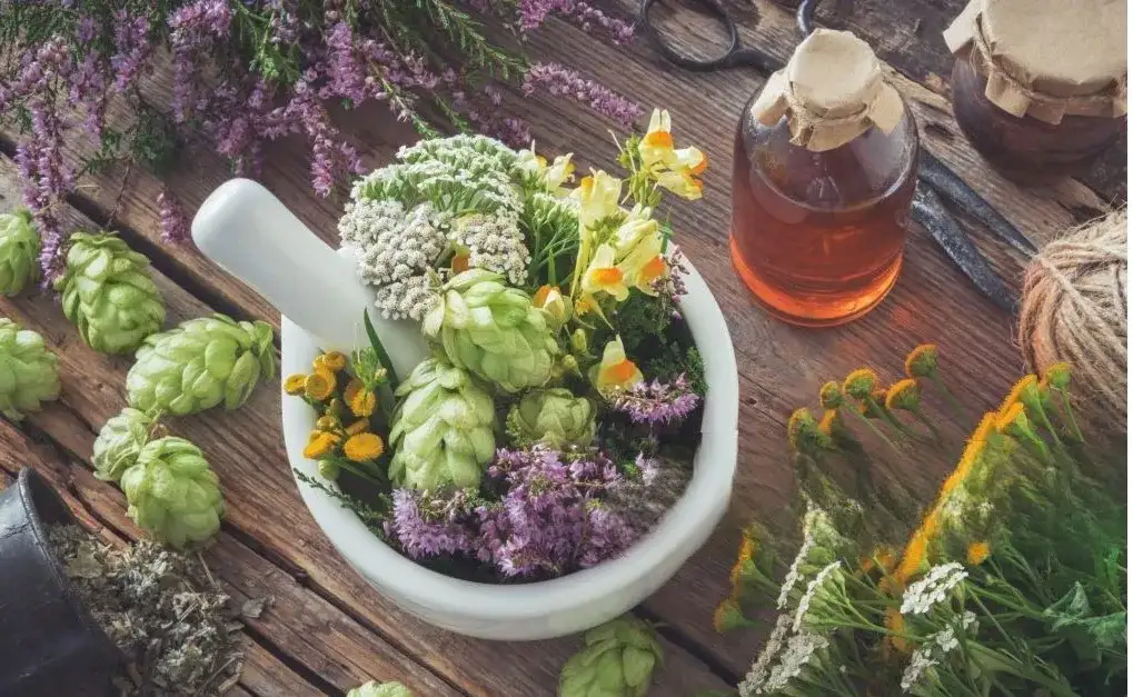 Natural Remedies for Autism 